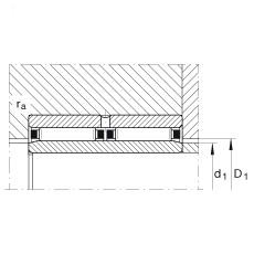 滾針軸承 NAO25X42X32-ZW-ASR1, 無擋邊，雙列