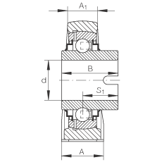 直立式軸承座單元 RASEL40-N, 鑄鐵軸承座，浮動(dòng)軸承，內(nèi)圈有驅(qū)動(dòng)槽，R 型密封